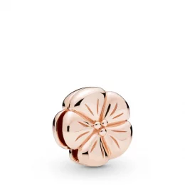 Charms Różowa orchidea, Pandora Rose 787897