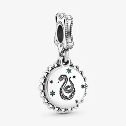 Harry Potter, Zawieszka PANDORA Slytherin 798620C01