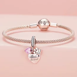 Pandora Styl Wieczni Przyjaciele Charm - SCC2436