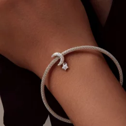 Pandora styl Księżycowy Wzór Charm - SCC2619