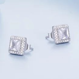 Pandora Style Light Luxury Stud Earrings - BSE895