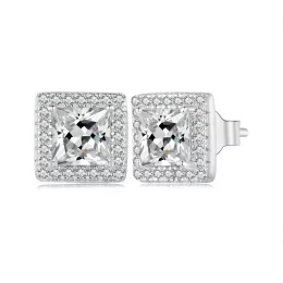 Pandora Style Light Luxury Stud Earrings - BSE895