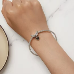 Pandora Style Skrzydła Strażnika Kamień Emocjonalny Charm - SCC2581