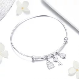 Bransoletka Bangle Typu Pandora Piękna obietnica - SCB119