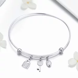 Bransoletka Bangle Typu Pandora Piękna obietnica - SCB119