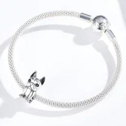 Charms Typu Pandora Buldog francuski - SCC1306