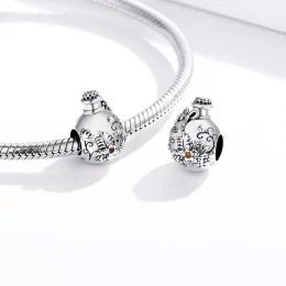 Charms Typu Pandora Butelka życzeń - SCC1602