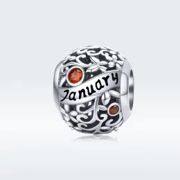 Charms Typu Pandora Kamień narodzin w styczniu - SCC1385-1