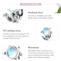 Charms Typu Pandora Kosmiczny kot - SCC1697